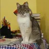 Отзыв от Эмма Козловская